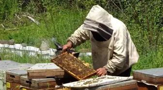 Ordu'dan 2022 yılında 773 ton bal ihraç edildi