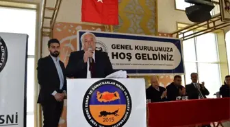 Arif İşitmen yeniden başkan seçildi
