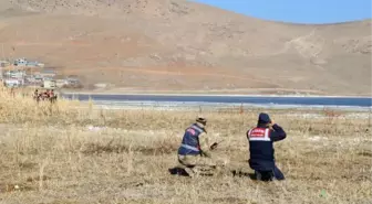 JANDARMANIN KUĞU NÖBETİ