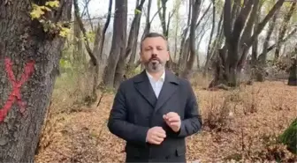 Köyceğiz'de Ormana Giden Burak Erbay: 'Dalaman İlçemizde de 300 Civarı Günlük Ağacının Kesildiğini Öğrendik, Ağaçlarımıza Sahip Çıkmak İçin Elimizden...