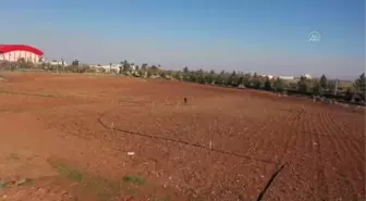 ŞANLIURFA - Güneydoğu'daki kuraklık üreticileri endişelendiriyor