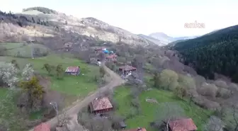 Sinop'ta, Yaklaşık Üç Yıl Önce Kaybolan 5 Yaşındaki Otizmli İbrahim Ay'ın Amcası: 'Arama Çalışmalarının Sıkılaştırılmasını İstiyoruz'