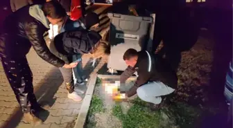7 AYDA BAKTIĞI 6 KEDİDEN 5'İ ÖLDÜRÜLDÜ, 1'İ KAYBOLDU