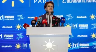 Akşener'in Diyarbakır'da sarf ettiği cümle AK Partili vekili küplere bindirdi: TSK'ya silah mı bıraktıracaksınız?