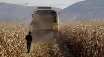 Mardin'de kuraklık rekolteyi yüzde 50 oranında düşürebilir