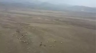 Türkiye'de en fazla kar yağan illerden Hakkari ve Muş, kara hasret kaldı