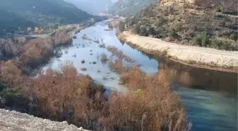 Göksu Nehri'nin rengi, yine siyaha döndü