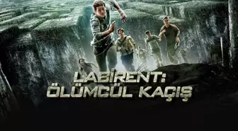 Labirent 1 filiminin konusu nedir? Labirent 1 filiminin oyuncuları kimler? Labirent 1 filimi fragmanı izle!