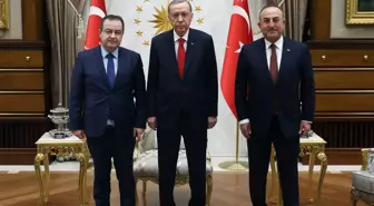 Cumhurbaşkanı Erdoğan, Sırbistan Başbakan Birinci Yardımcısı ve Dışişleri Bakanı Dacic'i kabul etti