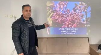 Tut ilçesinde Antepfıstığı üreticilerine eğitim verildi