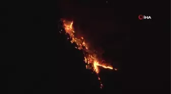 Alanya'daki yangın dört ayrı noktada başladı