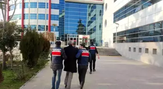 KCK Yürütme Konseyi Başkanı Sabri Ok'un kardeşi tutuklandı