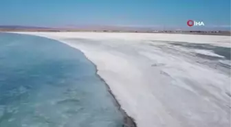 'Kuş Cenneti' Arin Gölü dondu