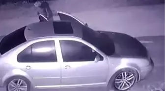 Otomobildeki davetsiz misafir hem korkuttu hem gülümsetti