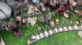 Tarihi eser operasyonunda 1 şüpheli yakalandı