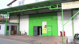 İmeceyle fabrika kuran köylüler, Sakarya fındığını işleyip ihraç edecek
