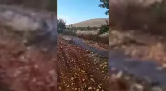 Mahmut Tanal'dan 'Şanlıurfa Cezaevi' Açıklaması: 'Gidip Yerinde İnceleme Yapalım. Yalan Söyleyen Kimse İstifa Etsin. Var Mısınız?'