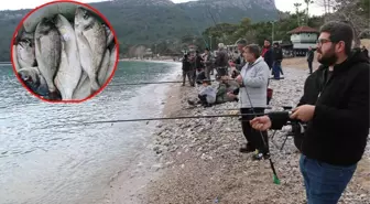 Antalya'da balık havuzunun patladığını duyan, oltalarıyla sahile koştu: Boş yok, at ve çek yapıyoruz