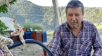 NAZİLLİ'DE KAYIP MÜTEAHHİDE AİT OLDUĞU SANILAN KAFATASI VE KEMİK PARÇALARI BULUNDU