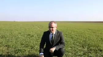 Pamuk ve mısırda düşüş yaşandı, kuraklık kriz merkezi oluşturuldu