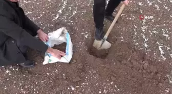 Toprak analiz cihazı çiftçiye yüksek verim sağlayacak