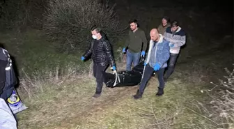 Zeytin bahçesinde kafatası ve kemik parçaları bulundu