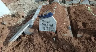 BABASININ BOĞDUĞU 8 YAŞINDAKİ ADARA TOPRAĞA VERİLDİ