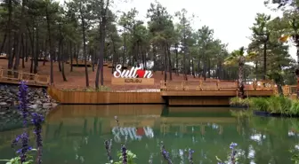 Cumhurbaşkanı Recep Tayyip Erdoğan Sultanbeyli'de açılışlar gerçekleştirecek