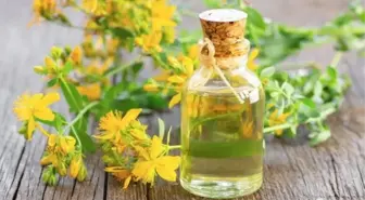 Kantaron yağı faydaları nelerdir? Sarı kantaronun yararları ve faydaları neler? Sarı kantaron neye iyi gelir, ne işe yarar?