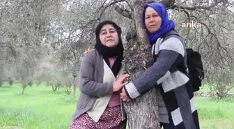 Muğla'daki Kömür Çıkarma İşlemine Karşı 59 Emekli Bürokrat, Rütbeli Asker ve Memurdan Ortak Açıklama: 'Şirket Arkadan Dolanarak Köylülerin Verimli...