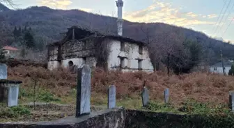 600 yıllık tarihi cami ve mezarlar, defineciler tarafından talan edildi