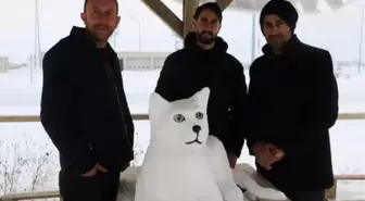 KARDAN 'VAN KEDİSİ' DE YAPTILAR