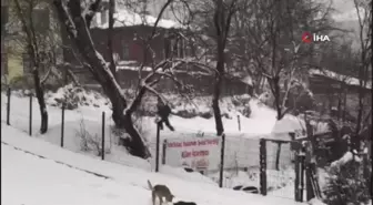 Kastamonu'da kar yağışı etkili oluyor: Eğitime 2 gün ara verildi