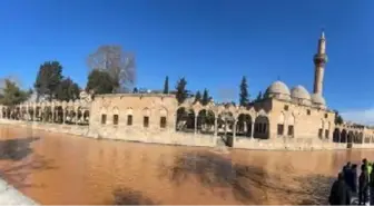 Balıklıgöl'ün suyu, deprem sonrası çamur rengine döndü