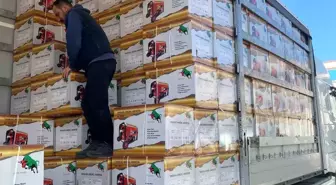 Bursalı inşaat şirketinden yardım bölgesine bir kamyon dolusu teknik malzeme