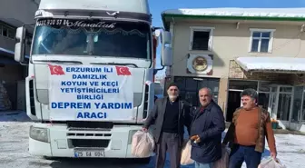 Damızlık koyun yetiştiricileri birliğinden deprem bölgesine yardım