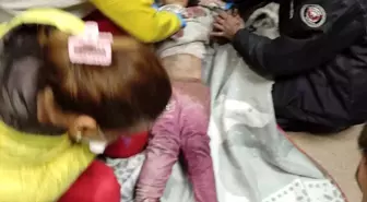 Küçük Lamia, umutları yeşertti