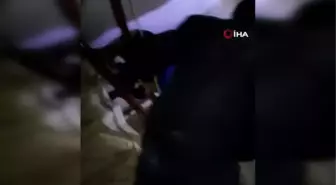 Lamia bebek, umutları yeşertti.. Yıkılan binadan yaklaşık 50 saat sonra kurtarıldı