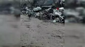 Türk Polis Teşkilatı'nın hassas burunları deprem bölgesinde