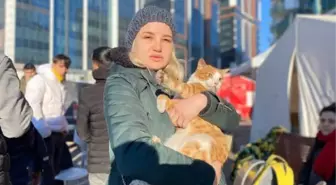 'NEVA' ADLI KEDİ 72'NCİ SAATTE ENKAZDAN ÇIKTI, SAHİPLERİ ABLA KARDEŞ ARANIYOR