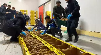 Bartın'dan deprem bölgesine 87 ton kivi gönderildi