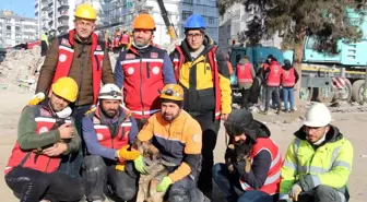 Ezan okunurken uluyan köpek ve yavruları, sesi fark eden görevlilerce enkazdan kurtarıldı