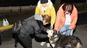 Depremzede köpek Bella İstanbul'da yeni ailesine kavuştu