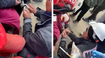 10 katlı binanın enkazından kurtarılan kediye serum taktılar