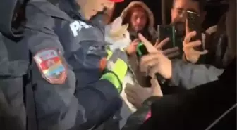 Depremde hasar gören binada mahsur kalan kedi kurtarıldı