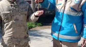 Haliliye temizlik personelinden Adıyaman'da örnek davranış