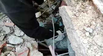 İzmir Büyükşehir Belediyesi Depremden Etkilenen Hayvanları Unutmadı
