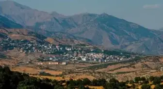 Kulp nerede? Kulp ilçesinin nüfusu, yüzölçümü ne kadar? Kulp ilçesi hangi ile bağlı?