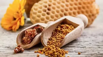 Propolis nedir? Propolisin faydaları nelerdir? Propolis nasıl kullanılır?