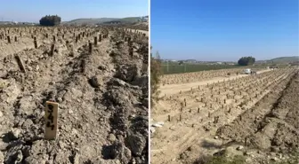 Depremin yıktığı Hatay'da cenazeler nasıl defnediliyor? İşte adım adım izlenen yol